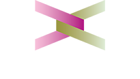 eXseco Logo